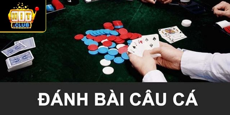 Sức hấp dẫn từ tựa game bài cách chơi bài câu cá Hitclub